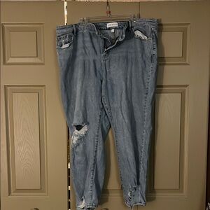 Lane Bryant Distressed Blue Jeans